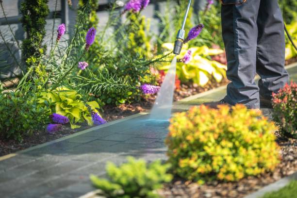  Lambertville, MI Pressure Washing Pros