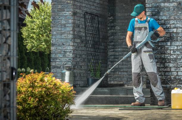 Boat and Dock Cleaning in Lambertville, MI