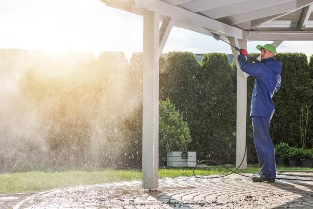 Best Warehouse Cleaning  in Lambertville, MI