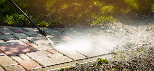 Pre-Holiday Cleaning in Lambertville, MI