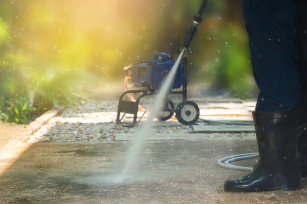 Best Sidewalk and Walkway Cleaning  in Lambertville, MI